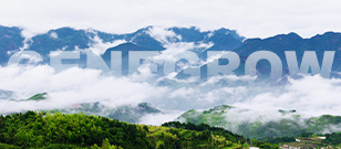 健高儿科 &middot; 温州鹿城