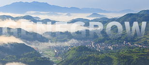 健高儿科&middot;温州苍南